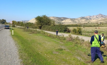 Göyçay rayonunda “Yaşıl dünya naminə həmrəylik ili” çərçivəsində aparılan abadlıq və təmizlik işləri davam etdirilir