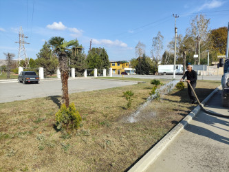 Göyçayda yol kənarı əkilmiş ağacların qorunması və suvarılması ilə bağlı tədbirlər görülüb