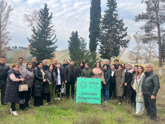 “Yaşıl dünya naminə həmrəylik ili” çərçivəsində növbəti ağacəkmə aksiyası keçirilib