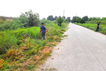 Göyçayda “Yaşıl dünya naminə həmrəylik ili” çərçivəsində yol kənarlarında abadlıq işləri həyata keçirilib