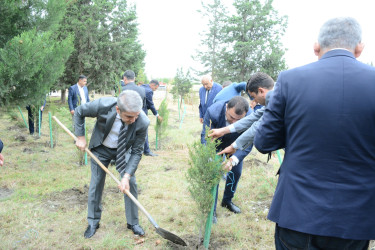 Göyçayda “27 sentyabr – Anım günü” qeyd edildi