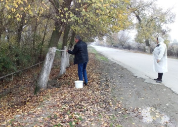 Rayonun kəndlərində mütəmadi olaraq təmizlik və abadlıq işləri aparılır