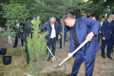 Göyçayda Anım Gününün beşinci ildönümü ilə əlaqədar ağacəkmə aksiyası keçirilib