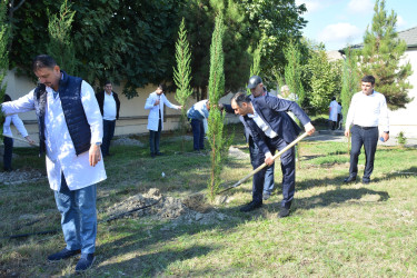 “Yaşıl dünya naminə həmrəylik ili” ilə əlaqədar Göyçay Rayon Mərkəzi Xəstəxanasında ağacəkmə aksiyası keçirilib