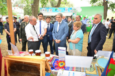 Göyçayda “Aqroturizm və Sosial sahibkarlıq” festivalı keçirilib