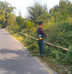 Kəndlərdə “Yaşıl dünya naminə həmrəylik ili” çərçivəsində abadlıq işləri aparılıb