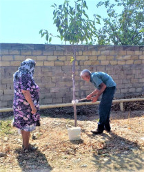 Göyçay rayonunda vətəndaş məmnunluğunun təmin edilməsi məqsədilə abadlıq, quruculuq və suvarma arxlarının qazılması işləri mütəmadi olaraq davam etdirilir