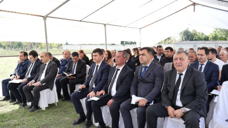 Göyçay Rayon İcra Hakimiyyətinin başçısı Orxan Mürsəlov Mollahacılı kəndində səyyar qəbul keçirib
