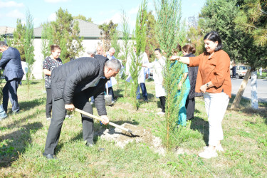 “Yaşıl dünya naminə həmrəylik ili” ilə əlaqədar Göyçay Rayon Mərkəzi Xəstəxanasında ağacəkmə aksiyası keçirilib