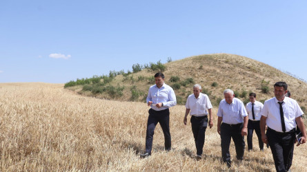 Rayon İcra Hakimiyyətinin başçısı Orxan Mürsəlov Qaraməryəm kəndində taxıl biçini prosesində iştirak edib, məhsul yığımının gedişi ilə maraqlanıb