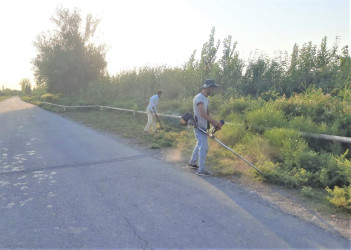 Kəndlərdə yol kənarlarının abadlaşdırılması işləri davam edir