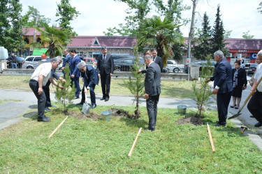 Göyçayda  “Yaşıl dünya naminə həmrəylik ili” çərçivəsində Ümummilli Lider Heydər Əliyevin anadan olmasının 101-ci ildönümü ilə əlaqədar ağacəkmə aksiyası keçirilib