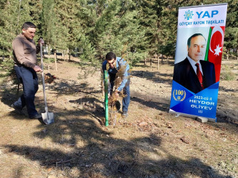 Göyçayda Ümummilli lider Heydər Əliyevin anadan olmasının 100 illiyi ilə əlaqədar ağacəkmə aksiyası keçirilib