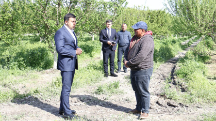 Göyçay Rayon İcra Hakimiyyətinin başçısı Orxan Mürsəlov Potu kəndində Ramil İsmayılova və Cəyirli kəndində Şakir Əliyevə məxsus bağçılıq təsərrüfatlarına baxış keçirib
