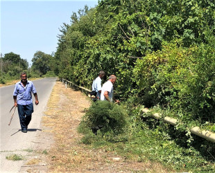 Göyçay rayonununda təmizlik və abadlıq aksiyası həyata keçirildi