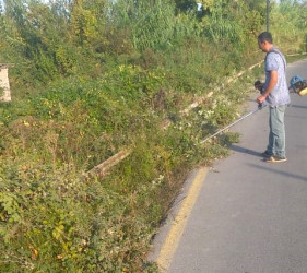 Kəndlərdə “Yaşıl dünya naminə həmrəylik ili” çərçivəsində abadlıq işləri aparılıb