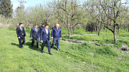 Göyçay Rayon İcra Hakimiyyətinin başçısı Orxan Mürsəlov Potu kəndində Ramil İsmayılova və Cəyirli kəndində Şakir Əliyevə məxsus bağçılıq təsərrüfatlarına baxış keçirib