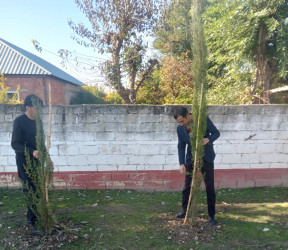 Göyçayda yol kənarı əkilmiş ağacların qorunması və suvarılması ilə bağlı tədbirlər görülüb