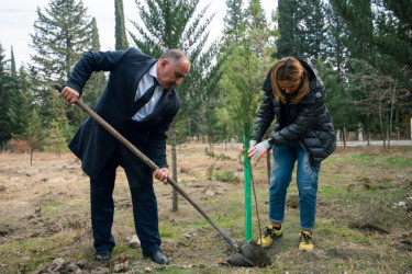 Göyçay rayonunda “Vətən Bağı” adlı ağacəkmə layihəsi həyata keçirildi