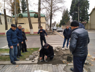 Göyçay şəhərinin ərazisində abadlaşdırma və təmizlik işləri aparılır